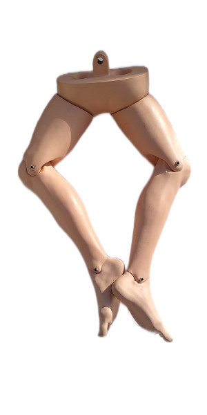 IMG_20211108_121315_inPixio