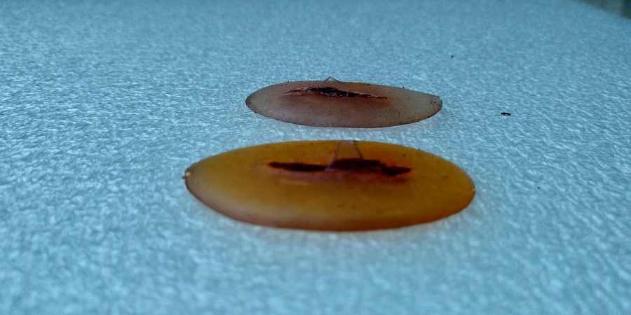 A-IMG_20210227_180411