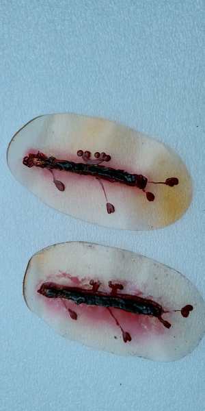 A-IMG_20210227_180436