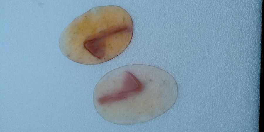 A-IMG_20210227_180607