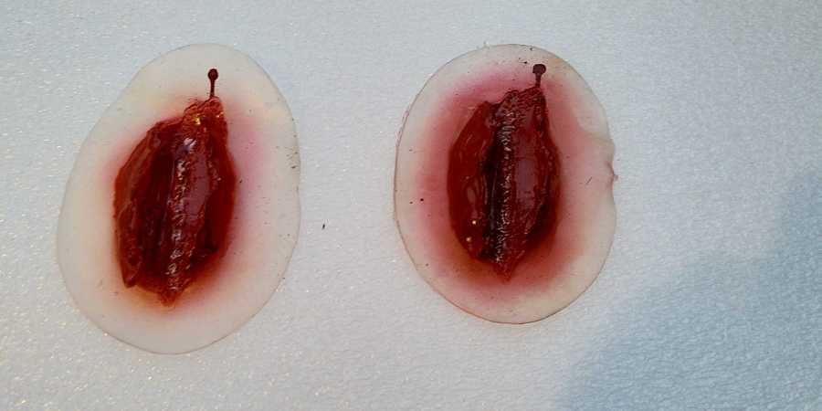 A-IMG_20210227_181217