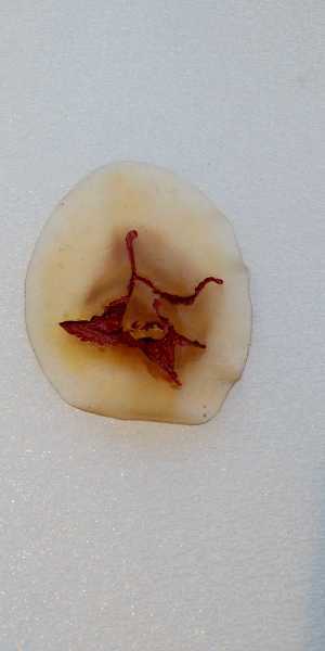 A-IMG_20210227_181252