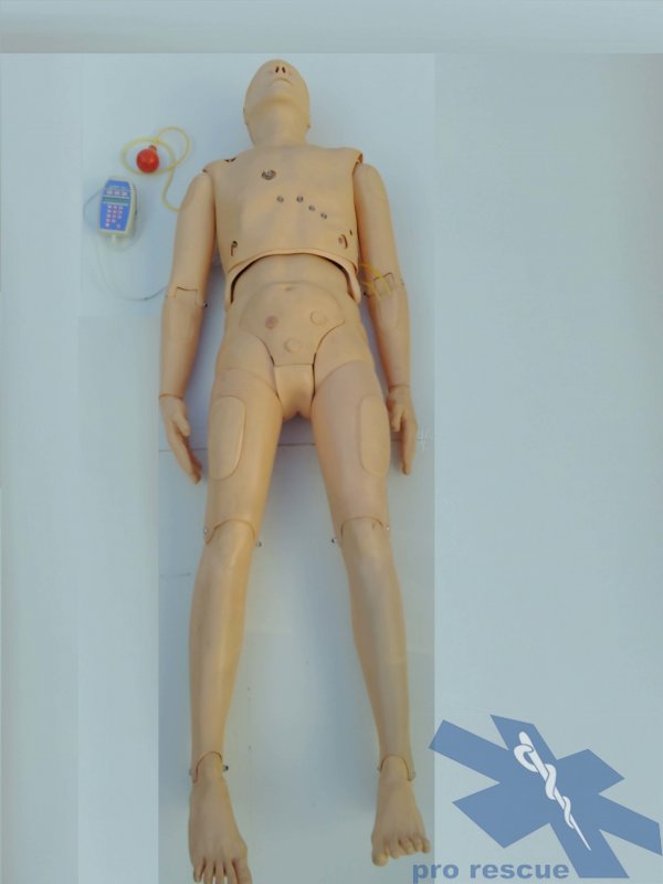 Beispiel EKG Puppe – Bild 4